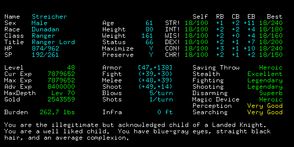 Charakterbildschirm eines erfahrenen Helden